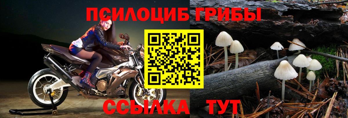 Галлюциногенные грибы мухоморы Биробиджан